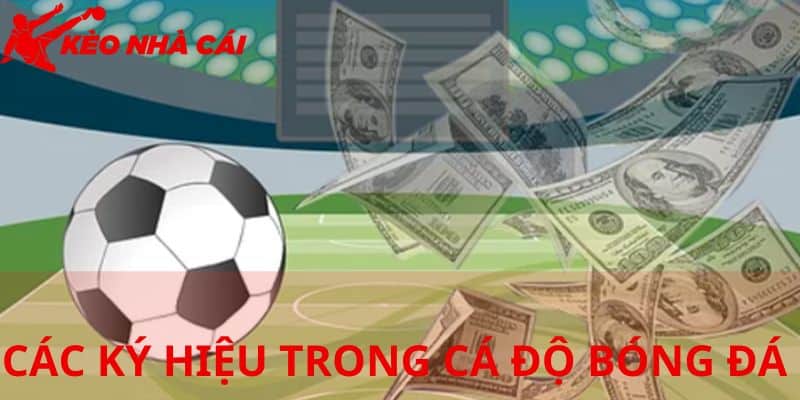 Cập Nhật Tất Tần Tật Các Ký Hiệu Trong Cá Độ Bóng Đá - bản quyền Kèo Nhà Cái 55 Các ký hiệu trong cá độ bóng đá kèo Châu Á