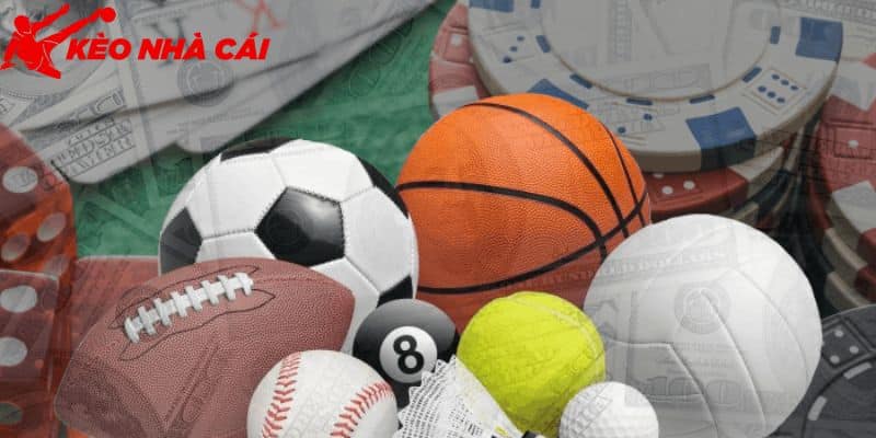 Giải Đáp 789Bet Uy Tín Hay lừa Đảo Dành Cho Hội Viên - bản quyền Kèo Nhà Cái 55 Các nội dung chứng minh 789Bet uy tín hay lừa đảo