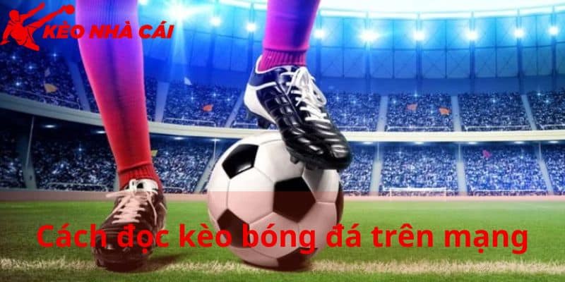 Cách Đọc Kèo Bóng Đá Trên Mạng Chuẩn Xác Cho Mọi Người - bản quyền Kèo Nhà Cái 55 Cách đọc kèo bóng đá trên mạng hình thức cược châu Á