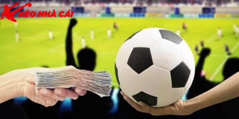 Cập Nhật Tất Tần Tật Các Ký Hiệu Trong Cá Độ Bóng Đá - bản quyền Kèo Nhà Cái 55 Kèo Châu Âu cùng các ký hiệu trong cá độ bóng đá