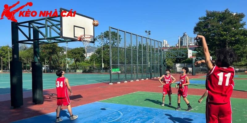 Tất Tần Tật Về Kích Thước Sân Bóng Rổ Đúng Tiêu Chuẩn - bản quyền Kèo Nhà Cái 55 Kích thước sân bóng rổ được thiết kế đúng độ tuổi