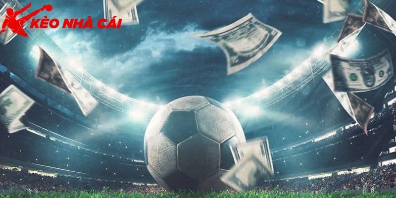 Cập Nhật Tất Tần Tật Các Ký Hiệu Trong Cá Độ Bóng Đá - bản quyền Kèo Nhà Cái 55 Kinh nghiệm chơi hay
