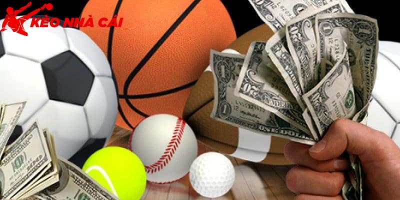 Sự Thật Về 8xbet Uy Tín Hay Lừa Đảo Dành Cho Người Chơi - bản quyền Kèo Nhà Cái 55 Làm rõ nội dung về 8xbet uy tín hay lừa đảo