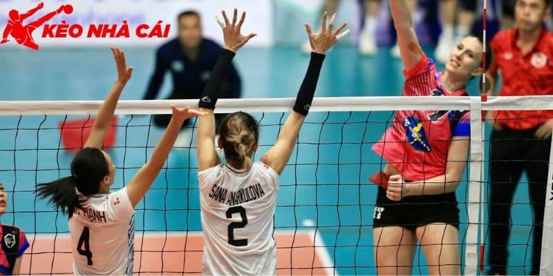 Tham Khảo Kích Thước Sân Bóng Chuyền Đúng Tiêu Chuẩn - bản quyền Kèo Nhà Cái 55 Lưới bóng chuyền được thiết kế phù hợp cho các trận thi đấu