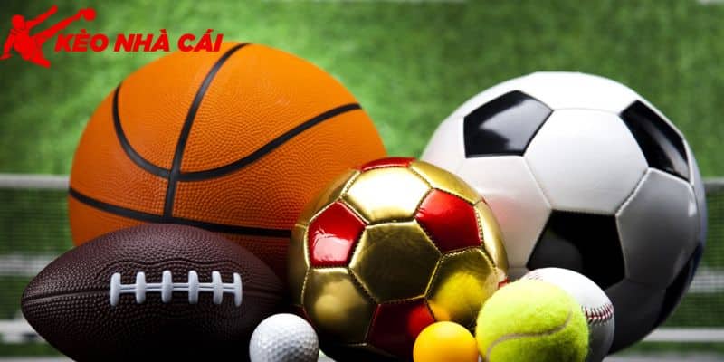 Tìm Hiểu Về Bet88 Uy Tín Hay Lừa Đảo Dành Cho Hội Viên - bản quyền Kèo Nhà Cái 55 Nền tảng xấu gây ra thắc mắc về Bet88 uy tín hay lừa đảo