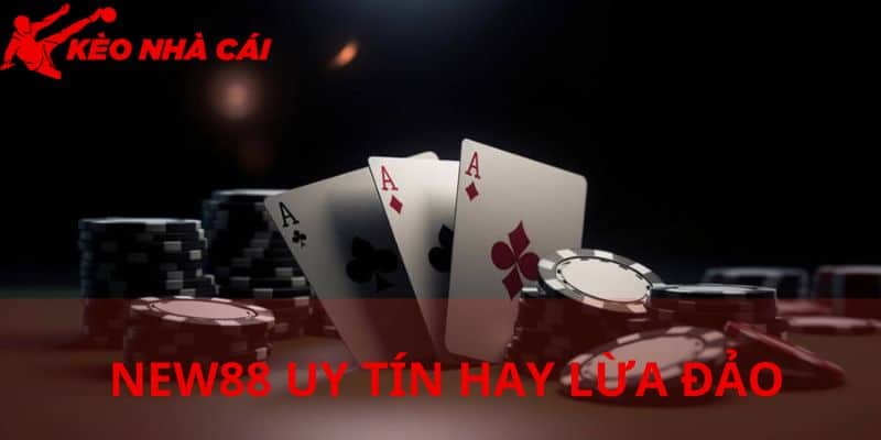 Đánh Giá Tổng Quan Về Vấn Đề NEW88 Uy Tín Hay Lừa Đảo - bản quyền Kèo Nhà Cái 55 Những thông tin cơ bản