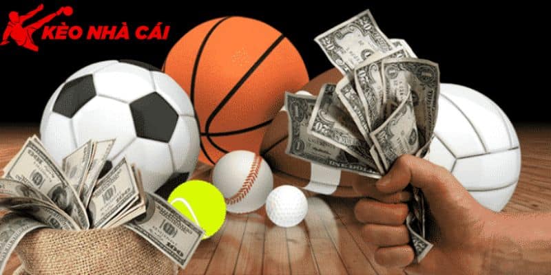 Chia Sẻ Cách Chơi Cá Độ Bóng Đá Online Cho Tân Thủ Mới - bản quyền Kèo Nhà Cái 55 Tham gia đơn giản