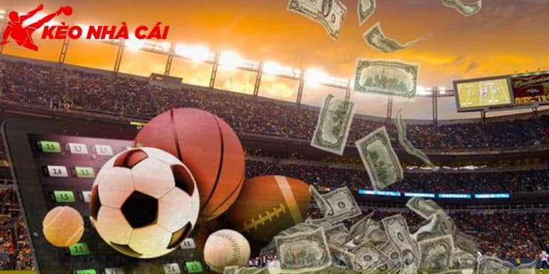 Chia Sẻ Cách Chơi Cá Độ Bóng Đá Online Cho Tân Thủ Mới - bản quyền Kèo Nhà Cái 55 Thông tin cách chơi cá độ bóng đá online