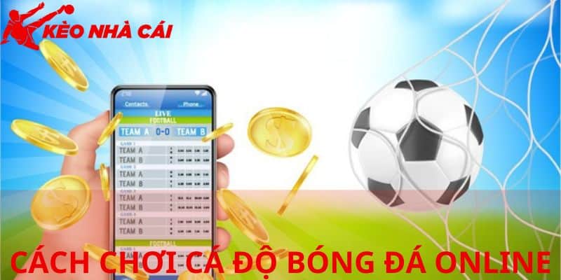 Chia Sẻ Cách Chơi Cá Độ Bóng Đá Online Cho Tân Thủ Mới - bản quyền Kèo Nhà Cái 55 Thông tin cơ bản cá độ bóng đá online