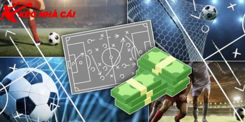 Giải Đáp 789Bet Uy Tín Hay lừa Đảo Dành Cho Hội Viên - bản quyền Kèo Nhà Cái 55 Trang giả mạo gây thắc mắc về 789Bet uy tín hay lừa đảo