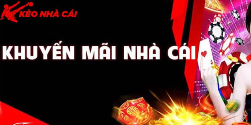 Sự Giải Đáp Về Tin Đồn W88 Lừa Đảo Và Gian Dối Khi Cá Cược - bản quyền Kèo Nhà Cái 55 Không được hưởng nhiều khuyến mãi đã làm dấy lên tin đồn về nơi này