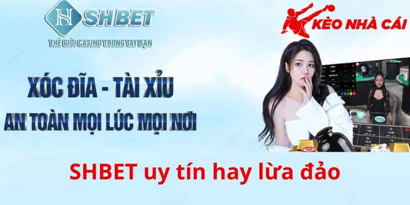 SHBET Uy Tín Hay Lừa Đảo? Cùng Kèo Nhà Cái Vén Màn Sự Thật - bản quyền Kèo Nhà Cái 55 Chi tiết nguồn gốc câu hỏi SHBET uy tín hay lừa đảo